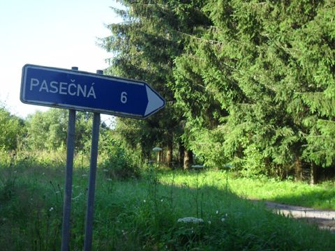 Foto 42